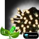 100 Λαμπάκια LED Σιλικόνης με Επέκταση Στεγανά με Λευκό θερμό φως​